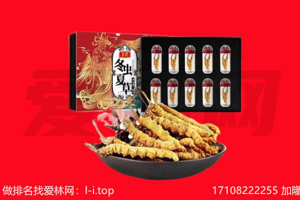滨州市回收虫草.jpg